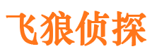 巴里坤飞狼私家侦探公司